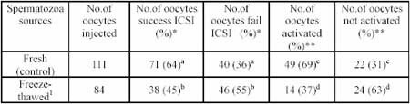 Successful ICSI using fresh and frozen-thawed spermatozoa head in rat oocytes