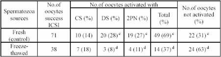 Rat oocytes activation after ICSI using fresh and frozen-thawed spermatozoa head 